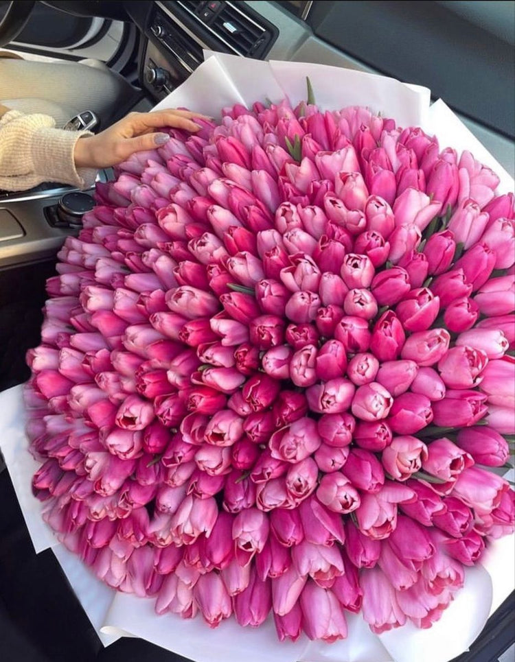 Tulipanes
